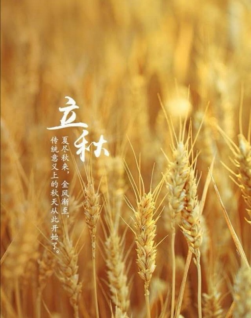 秋已至，夏已末